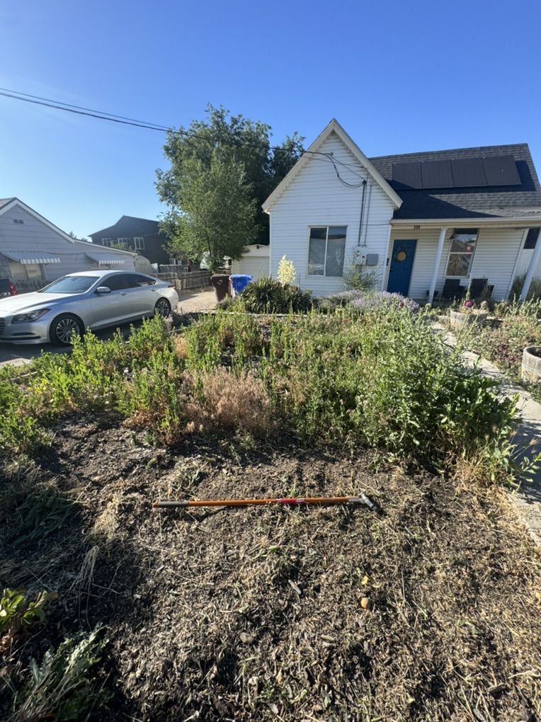 Weeds Removal Yard Clean Up Mowing Great Prices