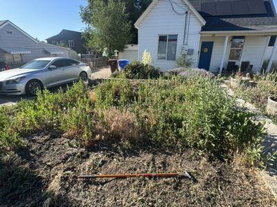 Weeds Removal Yard Clean Up Mowing Great Prices