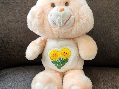 Care Bear Plush Toy