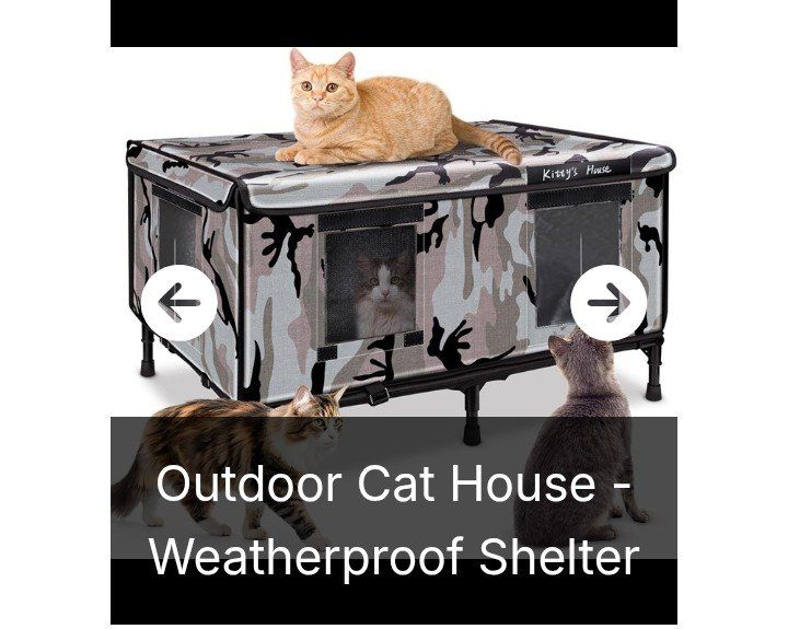 Outdoor/Indoor Cat Shelter (NEW)