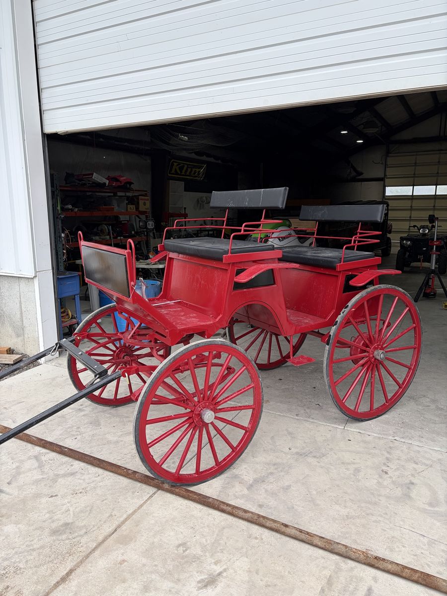 4 Passenger Horse Carriage