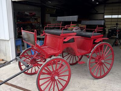 4 Passenger Horse Carriage