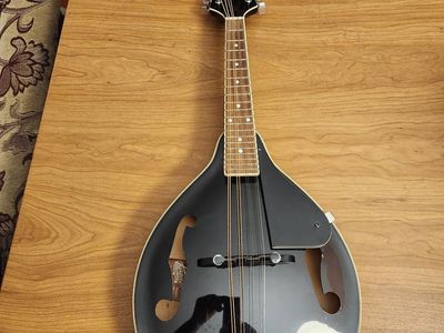 Rogue Mandolin. Sounds and plays great. Strings are new-ish.