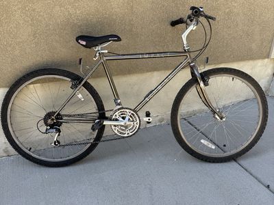 Schwinn Impact