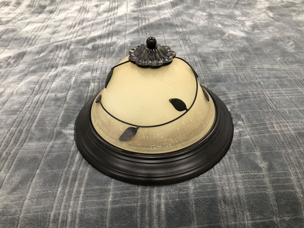 Decorative light fixture