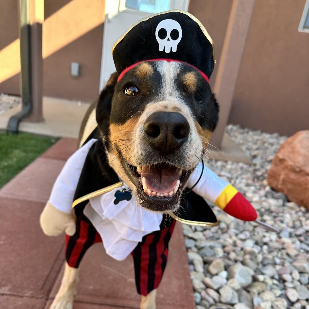 Hello my name is Eyesha