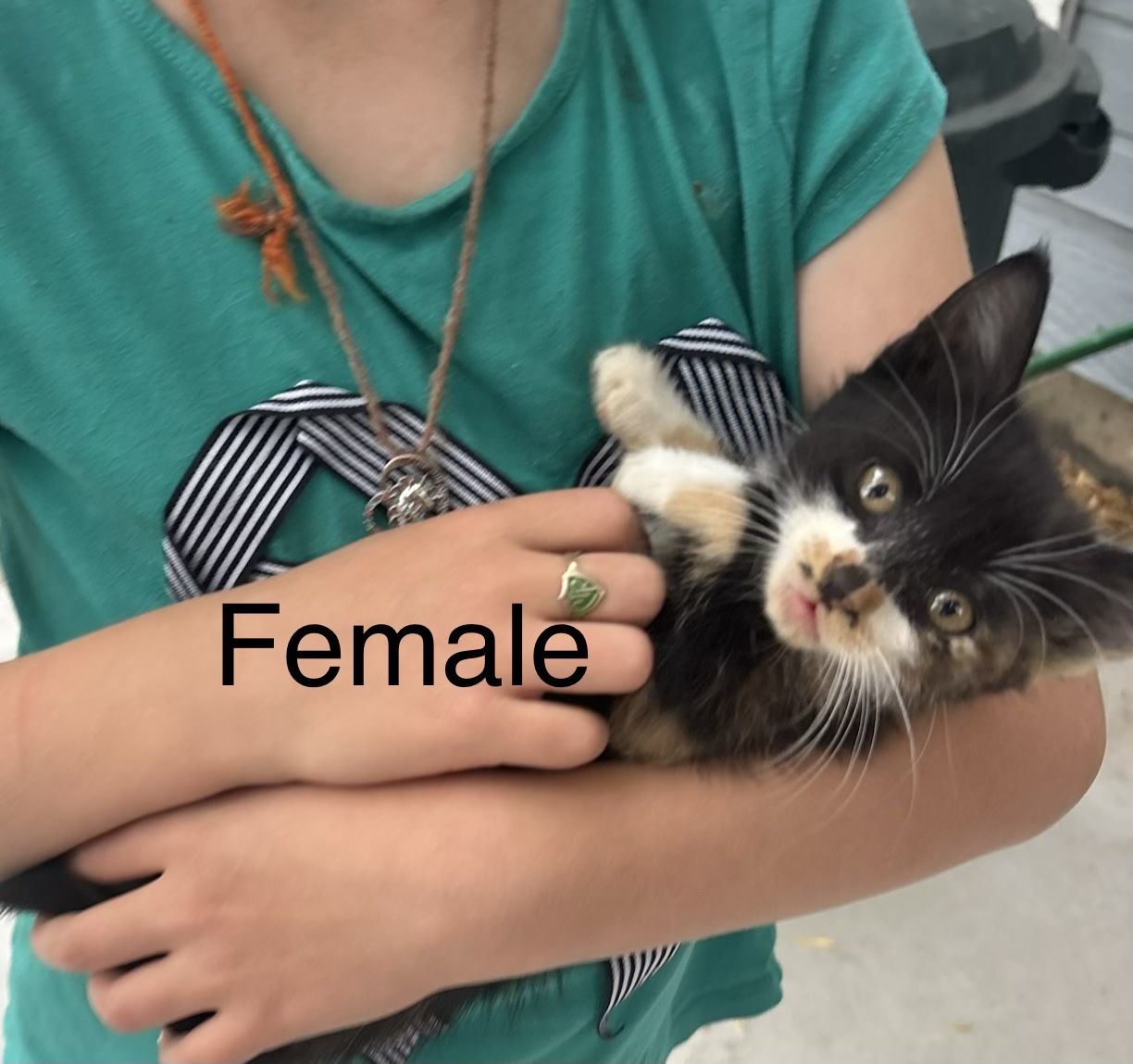 Main image 3