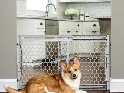 Carlson Pet Easy Fit Portable Pet Gate, Fits Openings 28-42 Wide, 23 Tall, Rubber Pads to Protect Walls, Durable Dog Gate for