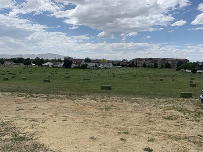 Alfalfa small bales for sale