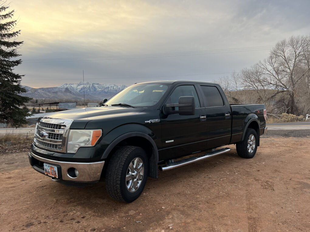 2013 FORD F150 XLT