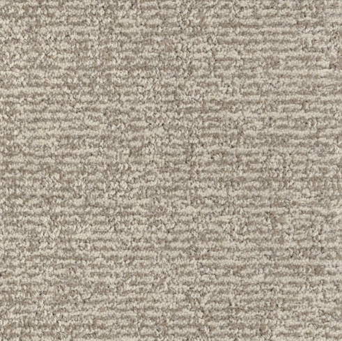 Carpet Remnant