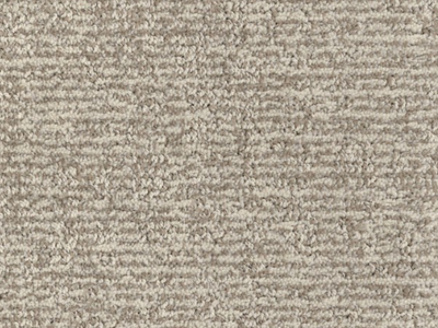 Carpet Remnant