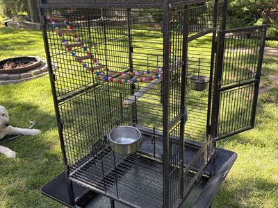 Parrot-cockatiel cage
