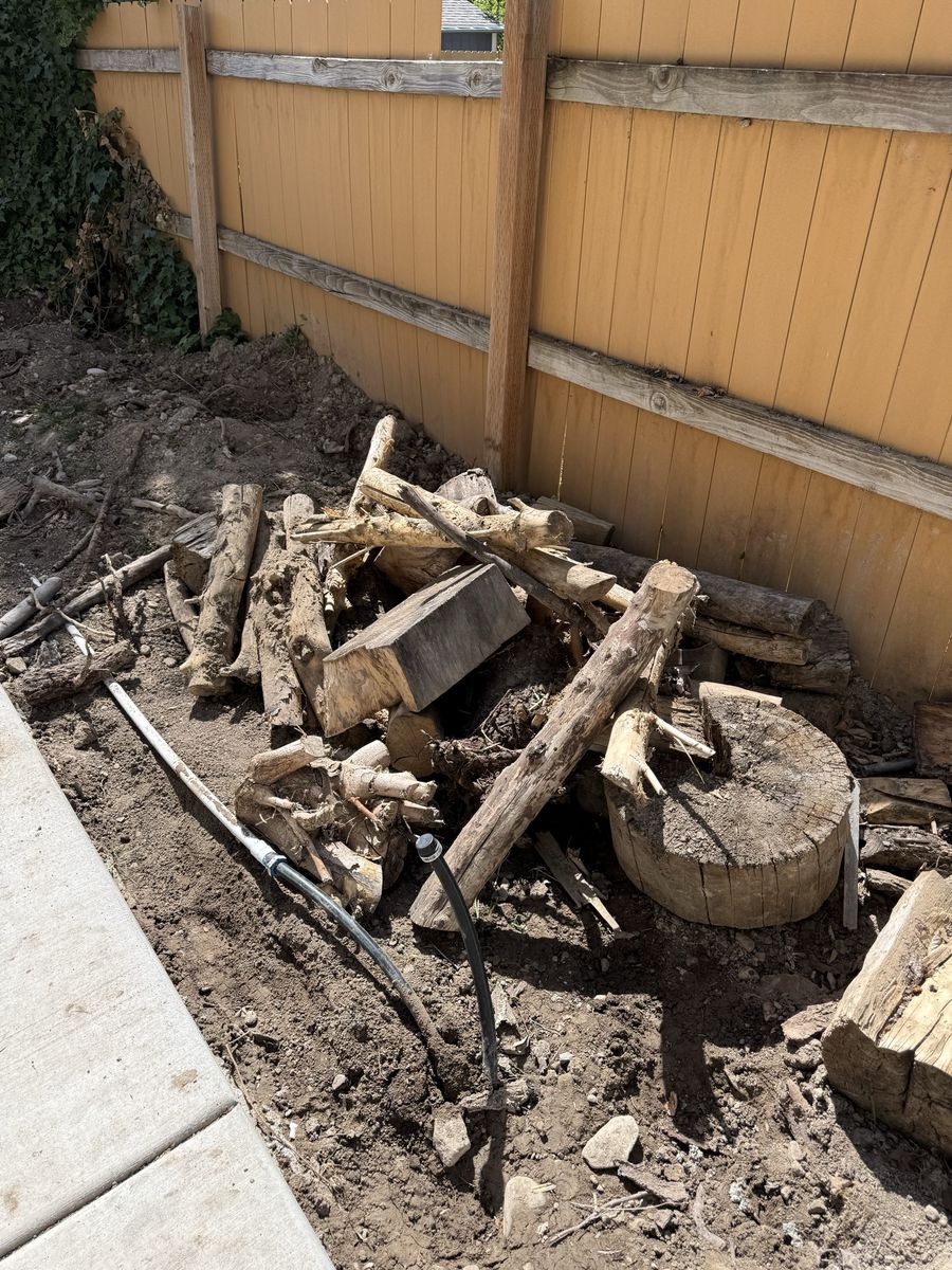Free Firewood