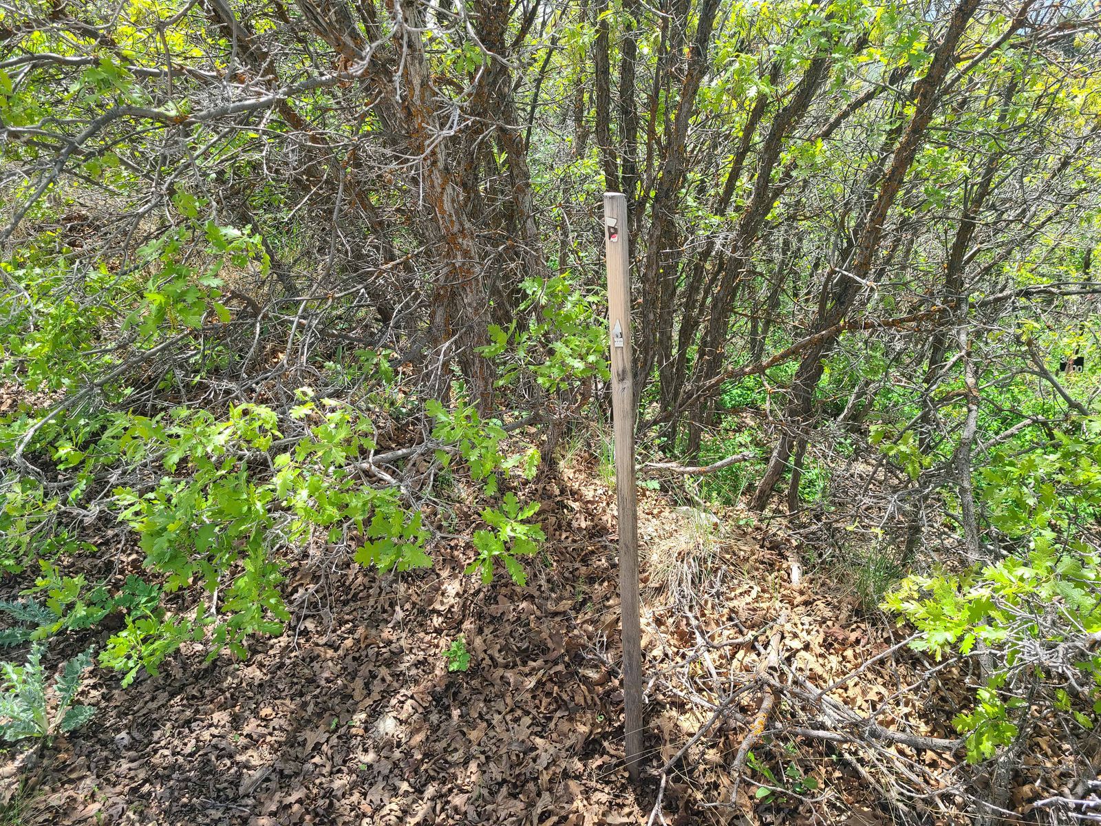 Hideaway Valley Lots For Sale