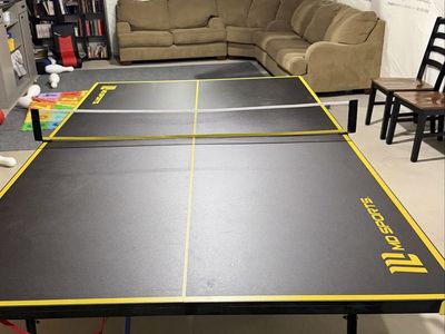 Ping Pong Table