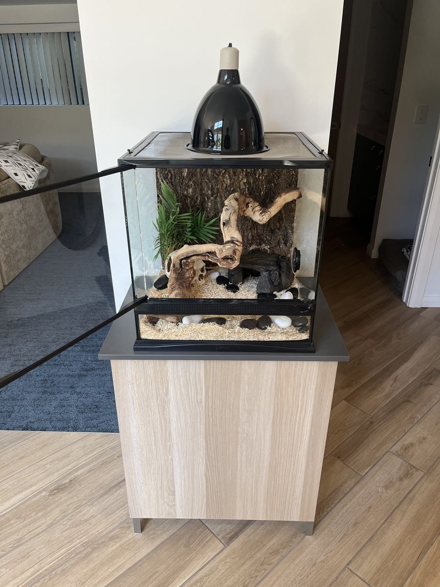 Main image 3