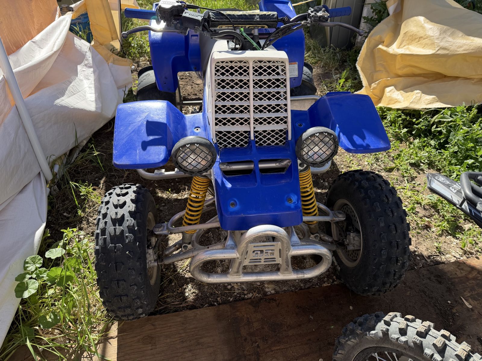 1996 banshee