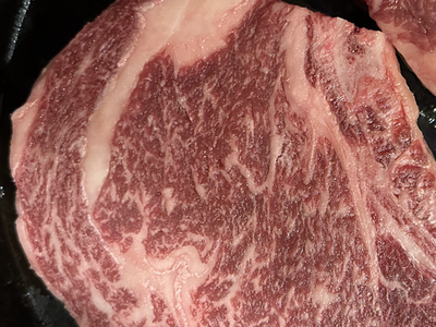 Purebreed Wagyu calves