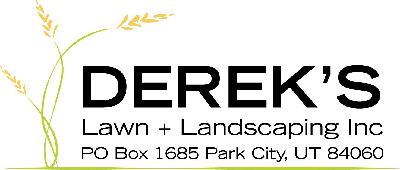 Back Flow testing Park City/Summit County/Salt Lake/Wasatch County.