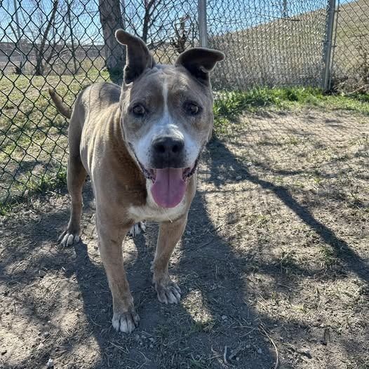 Hello my name is Albie