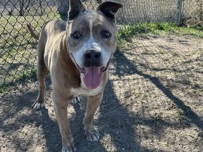 Hello my name is Albie