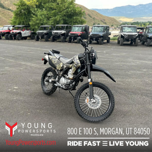 2026 Kawasaki KLX 300