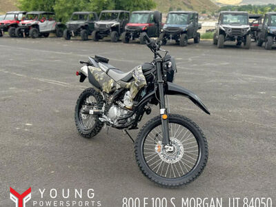 2026 Kawasaki KLX 300