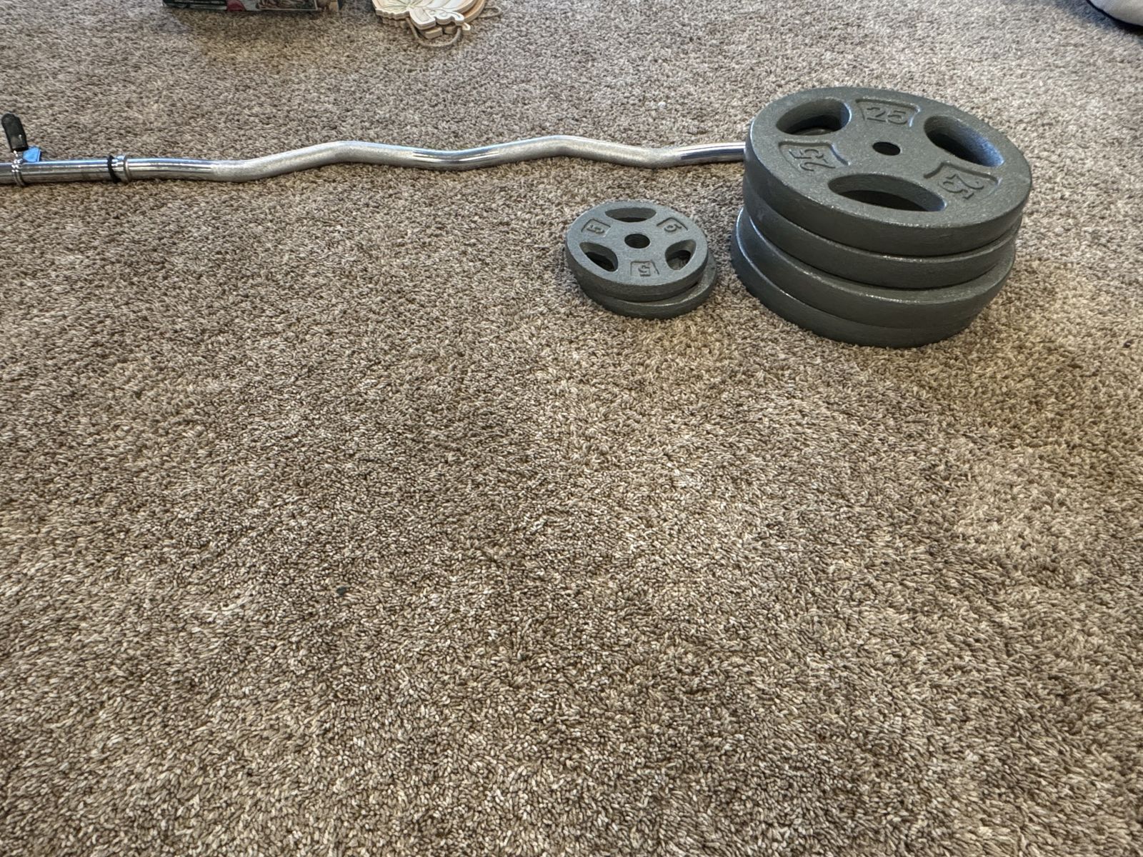 EZ Curl Bar with 25lb and 5 lb Weights