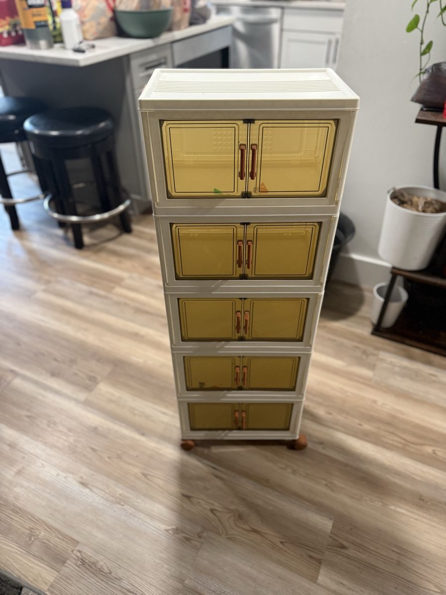 Cabinet organizer