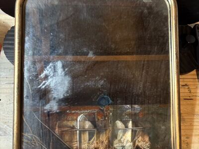 NEED GONE Vintage Inspired Floral Mirror