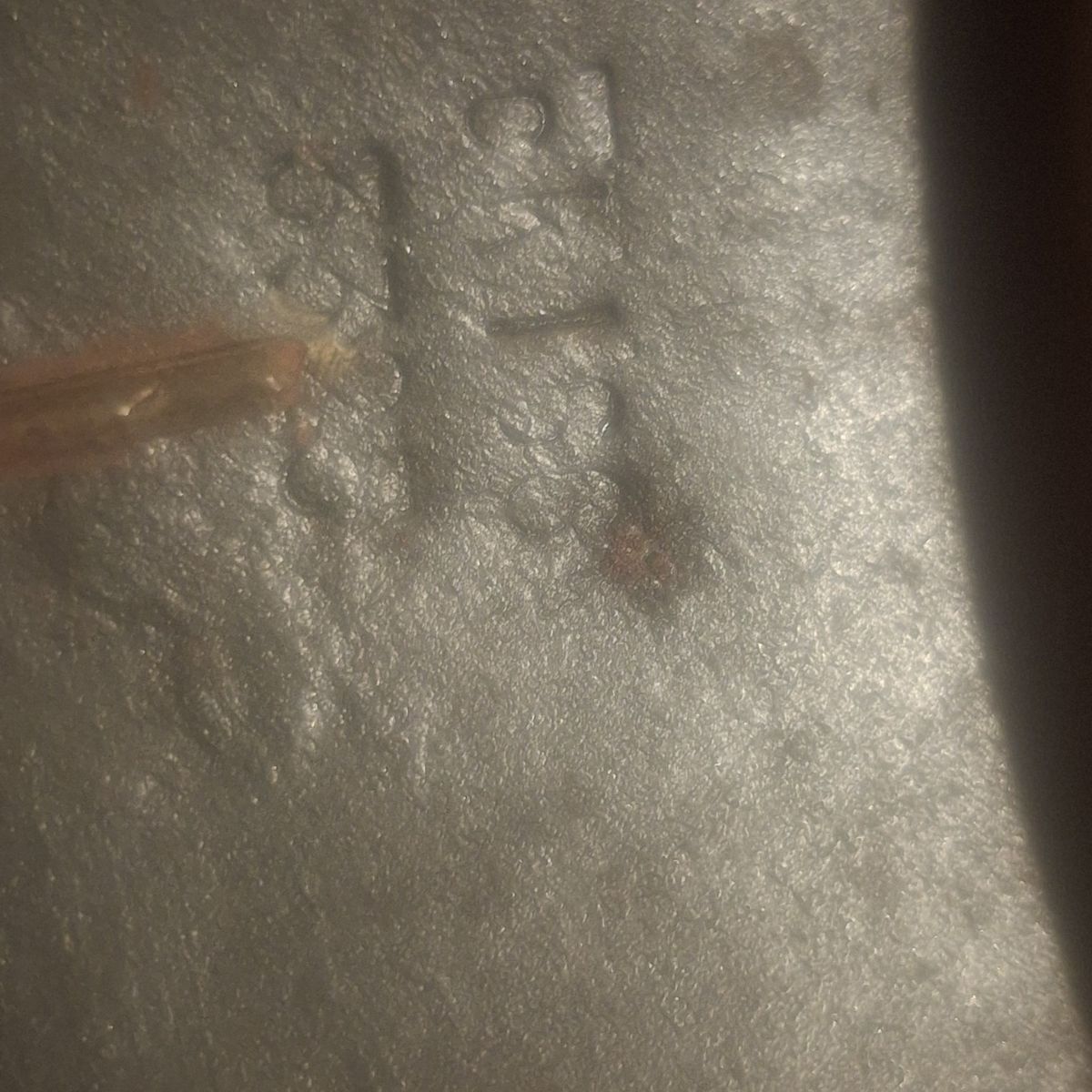 Main image 6