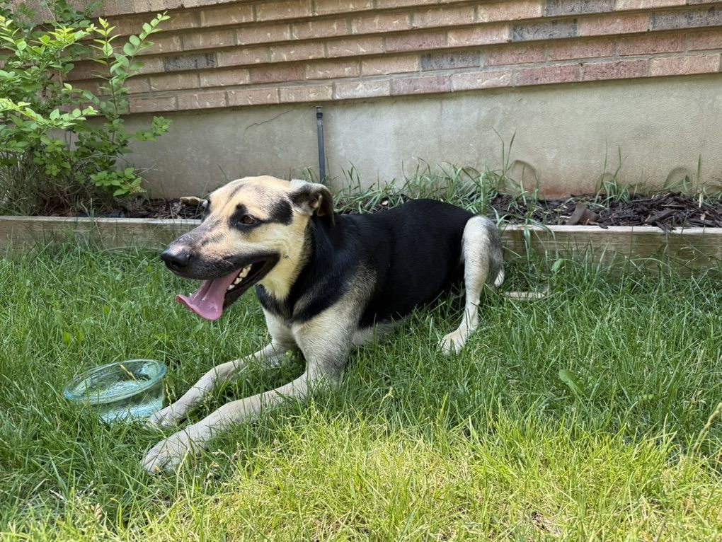 Lost Dog / Hidden Valley Park Area