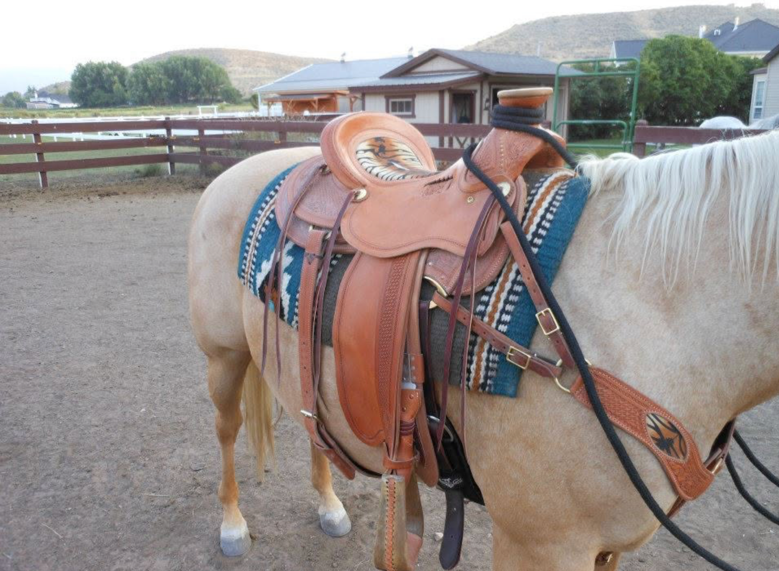 Stingray Western Saddle-J Stead Saddle Co, Wade Rancher.