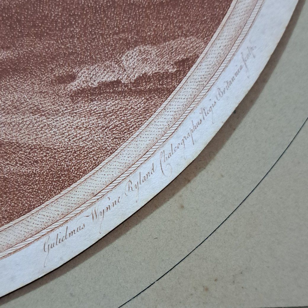 Main image 8
