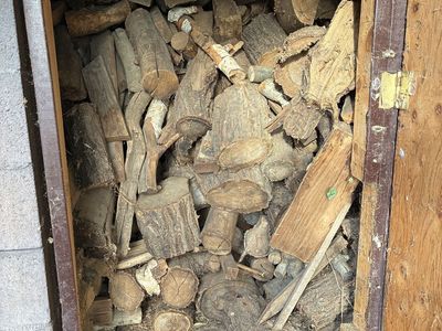 Free firewood