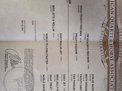 Yearling Red Roan Stud Colt