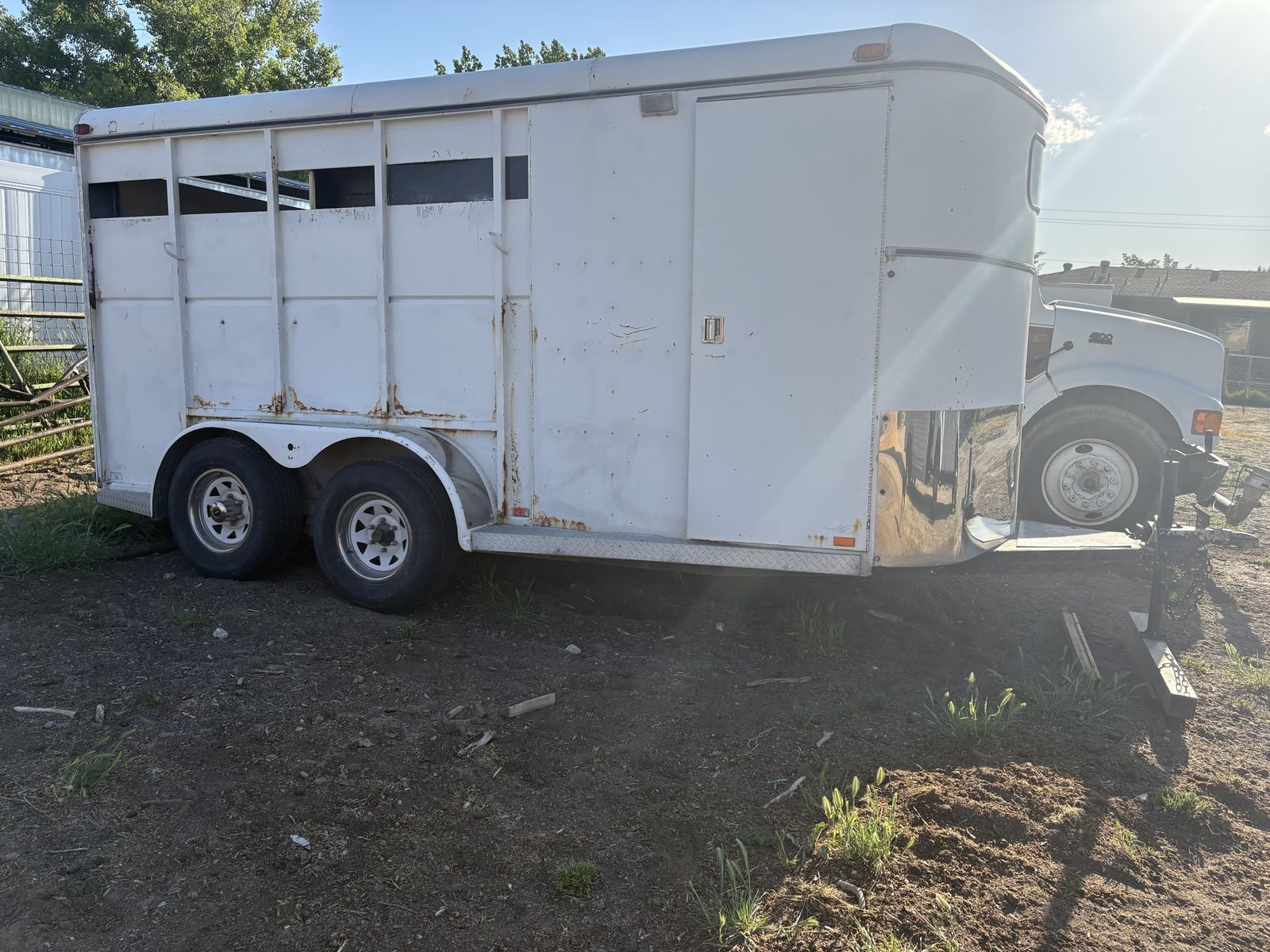 3 Horse Bumper Trailer