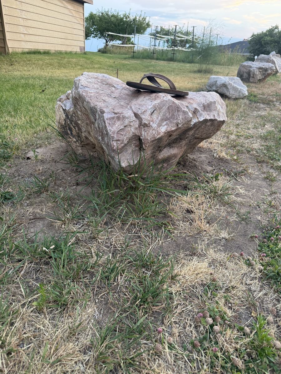 Main image 4