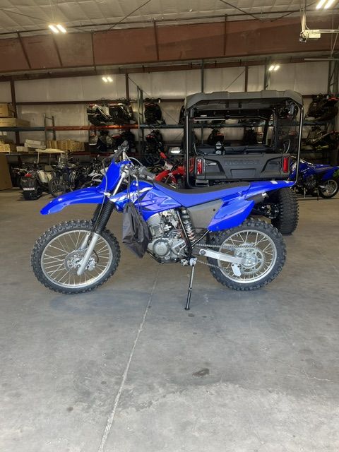 2026 Yamaha TT-R230 Team Yamaha Blue - 002972