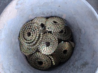 BULK Coil Nails - ~24 Rolls / Full Contractor Bucket