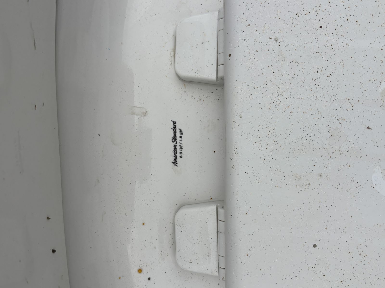 Main image 4