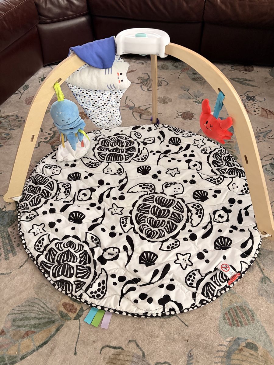 Melissa & Doug Wooden Ocean Theme Play Gym Activity Mat Baby Toy with Accessories (Used)