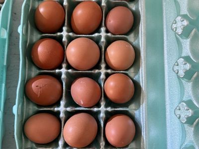 Pasture raised eggs