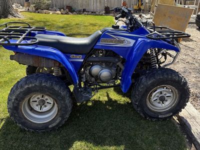 2001 Yamaha Wolverine