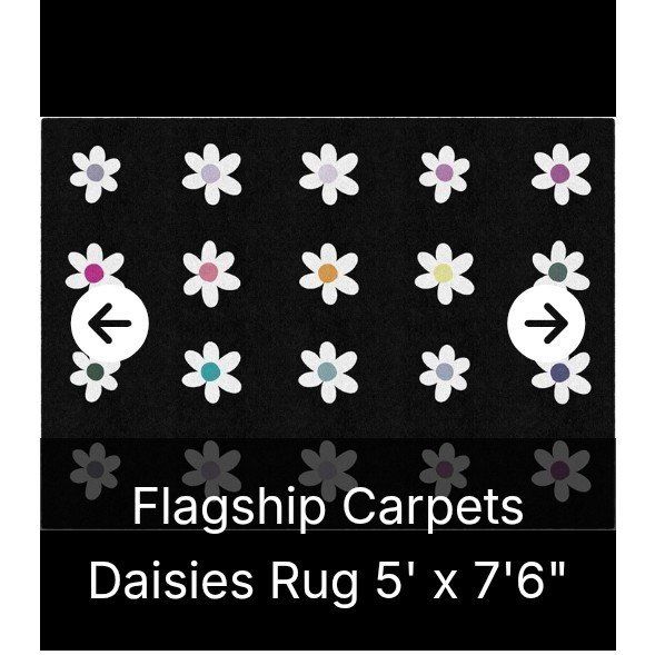 5 ft  x 7.5 ft Area Rug (NEW)