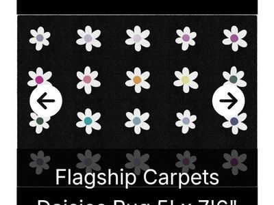 5 ft x 7.5 ft Area Rug (NEW)