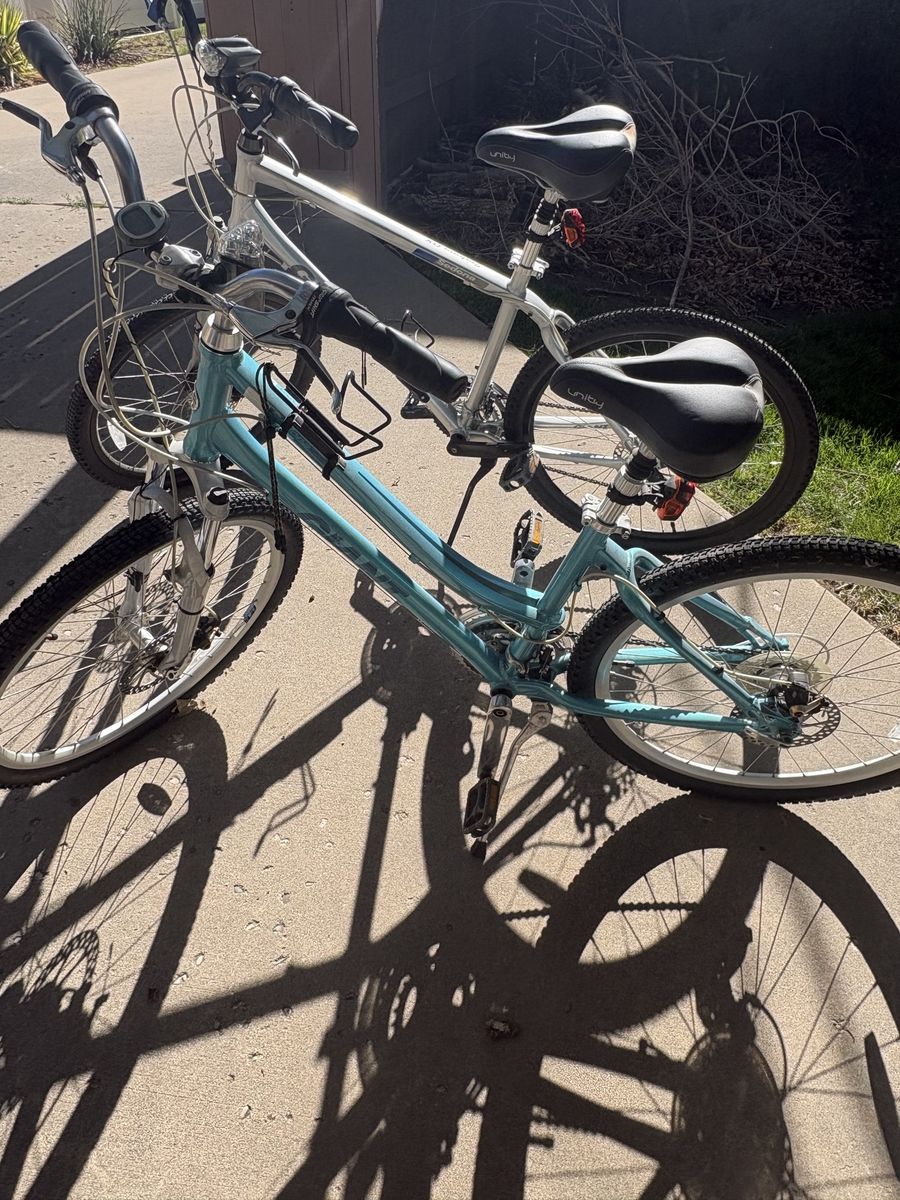 Pair of Giant hybrid bikes and dog trailer