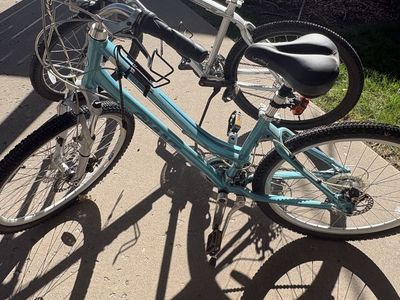 Pair of Giant hybrid bikes and dog trailer