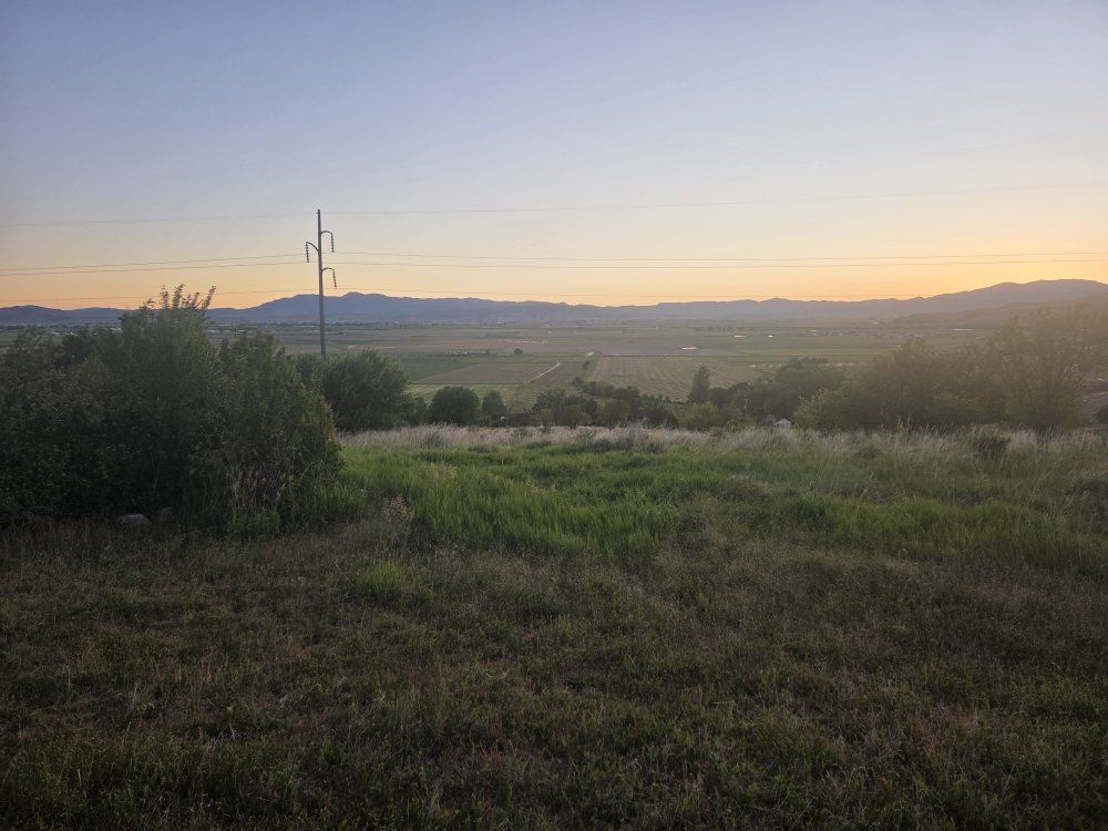 pasture for rent